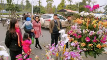 Thị trường hoa, cây cảnh Tết vắng bóng hàng ngoại nhập