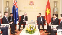 Bộ trưởng Bộ Công an Tô Lâm tiếp Đại sứ Australia