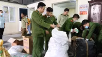 Đông dược giả thuốc chữa bệnh bán online thu 200 triệu đồng/ngày