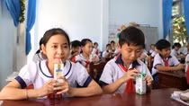 Sữa học đường triển khai cho trẻ em nhiều tỉnh Đồng bằng sông Cửu Long