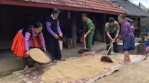 Công an xã ở “vùng nóng” tội phạm hình sự, ma túy