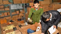 Phát hiện số lượng lớn phụ kiện ô tô "mất gốc"