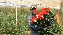 Chuyện khởi nghiệp của đôi bạn trẻ dưới chân núi Langbiang