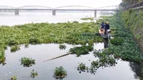 Kết hợp nhiều giải pháp làm sống lại các dòng sông
