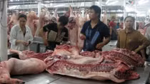 Giá thịt lợn bắt đầu tăng sau chuỗi ngày chạm đáy