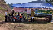 Ngăn chặn khai thác quả ươi theo kiểu tận diệt