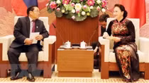 Chủ tịch Quốc hội Nguyễn Thị Kim Ngân tiếp Phó Chủ tịch Quốc hội Lào