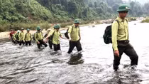 Tăng cường các biện pháp giữ rừng