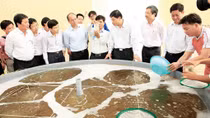 Báo động nạn bơm tạp chất vào tôm và lạm dụng kháng sinh trong chăn nuôi