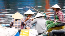 Những nhịp chèo chênh vênh nơi hải cảng