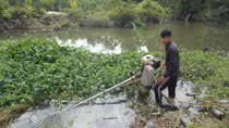 Đồng bằng sông Cửu Long đối diện xâm nhập mặn sớm và sâu