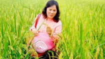 Miệt mài làm khoa học vì nông dân