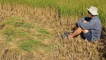 Nước mặn xâm nhập có dấu hiệu giảm