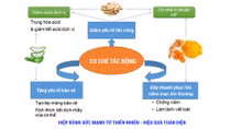 Đau dạ dày đừng tưởng chỉ dùng tinh nghệ nano là đủ