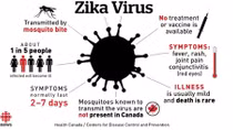 Virus Zika liệu có gây vô sinh ở nam giới?
