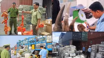 Cao điểm chống buôn lậu, hàng giả dịp Tết nguyên đán Canh Tý