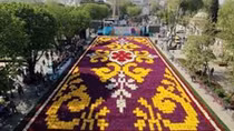 Thảm hoa tulip khổng lồ