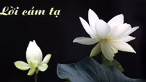 Lời cảm ơn