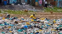 Kenya: Phạt nặng việc sử dụng túi nilon