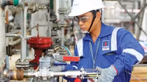 Thực thi đồng bộ các giải pháp để tái cấu trúc thành công