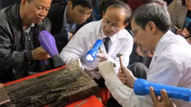 Không có căn cứ nào về việc tìm ra mộ Trạng Trình Nguyễn Bỉnh Khiêm