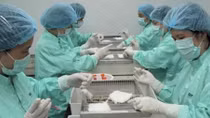 Triển vọng vaccine COVID-19 "made in Vietnam"