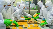 VASEP tiếp tục đề nghị không kiểm dịch với sản phẩm thủy sản chế biến