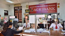 Agribank dành nguồn vốn tập trung phát triển sản xuất, kinh doanh