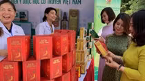 Tất cả các tuyến đều tăng tỷ lệ sử dụng thuốc nội