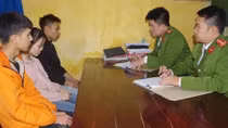 4 thanh thiếu niên trộm cả đàn bồ câu để thịt và bán lấy tiền xài