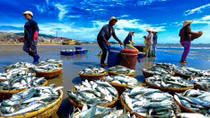Nhiều giải pháp khẩn trương để EU thu thẻ vàng