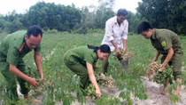 Hiệu quả công tác từ diễn đàn “nghe dân nói, nói dân hiểu, làm dân tin”