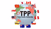 Cần chuẩn bị kỹ những thách thức, khó khăn khi phê chuẩn Hiệp định CPTPP