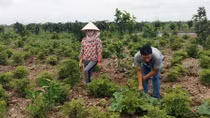 Xây dựng nông thôn mới ở Nam Định: Chọn mô hình phù hợp, xây công trình hiệu quả