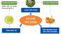 Sự thật ít người biết để tránh tái phát viêm dạ dày