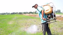 Bứt phá từ chính “luống cày cũ” (!) – kỳ 3