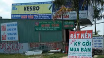 Cò đất khuynh đảo ngoại thành