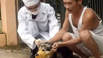 Tử vong do bệnh dại: Phòng tránh được khi tiêm phòng đầy đủ