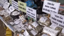 “Ngồi” trên đống thuốc nhưng đa phần vẫn nhập từ nước ngoài