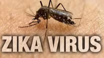 Bệnh do vi rút Zika còn tiếp tục diễn biến phức tạp