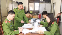 "Săn cá mập" giữa đại dương