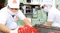 Lợi ích cục bộ cản trở quá trình cổ phần hóa doanh nghiệp Nhà nước