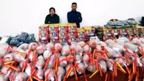 Thu giữ 3,6 tạ pháo trước khi bị tẩu tán