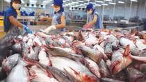 Kết nối, xúc tiến xuất nhập khẩu nông, thủy sản Việt Nam - Trung Quốc