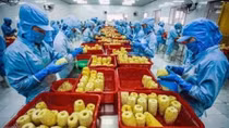 Cả nước xuất siêu hơn 6 tỷ USD sản phẩm nông nghiệp