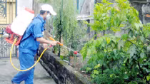 Lâm Đồng bùng phát bệnh sốt xuất huyết