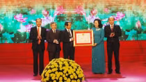 Huyện Thanh Trì (Hà Nội) đón nhận danh hiệu đạt chuẩn nông thôn mới
