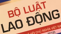 Công ty CP vận tải ôtô Hàng không sẽ thanh toán chế độ thất nghiệp cho người lao động