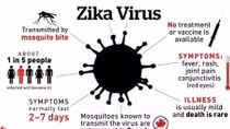 Virus Zika có thể làm teo tinh hoàn và vô sinh ở nam giới
