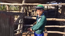 Hành trình “đánh án” trộm trâu giữa đại ngàn